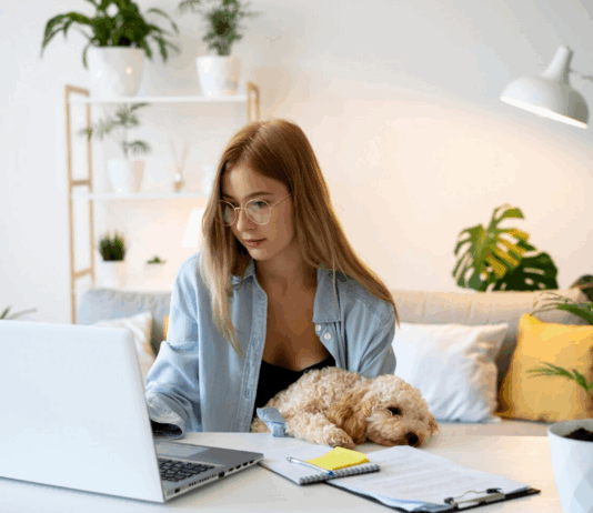 Онлайн-доход с нуля: реальные варианты заработка в сети