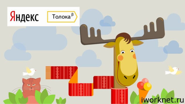 Толока в Яндекс что такое яндекс толока