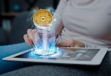 Сигналы криптовалют: ключевые моменты, функции и особенности