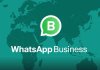 Бизнес и создание собственных курсов вместе с WhatsApp